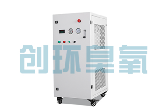 绥化石斑鱼养殖水质调控完整指南：臭氧发生器配置与操作步骤