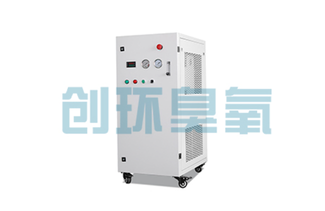 绥化比传统换水更高效？臭氧发生器在石斑鱼养殖中的水质净化原理解析