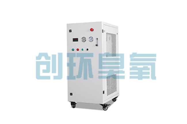 绥化比传统换水更高效?臭氧发生器在石斑鱼养殖中的水质净化原理解析